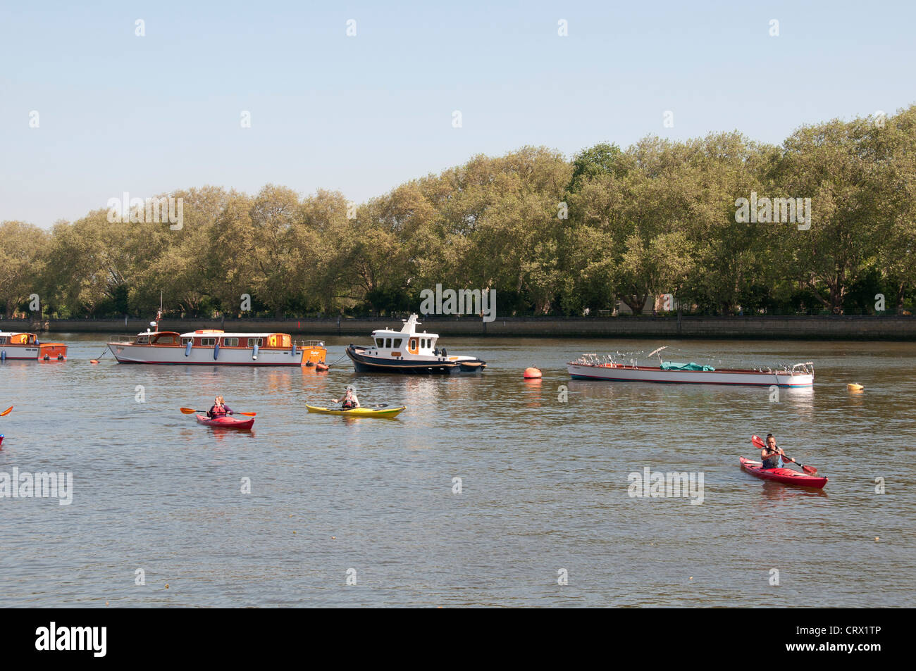 Upper reaches of Thames River at Putney,Canoeing,Canoeists,Paddling