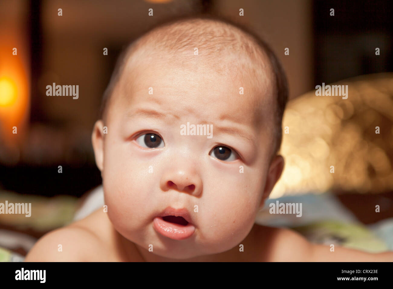 baby lying on stomach Stock Photo Alamy