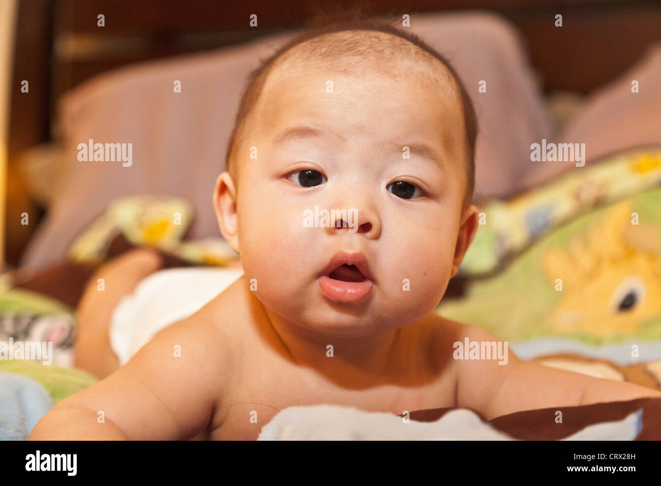 baby boy on stomach Stock Photo Alamy
