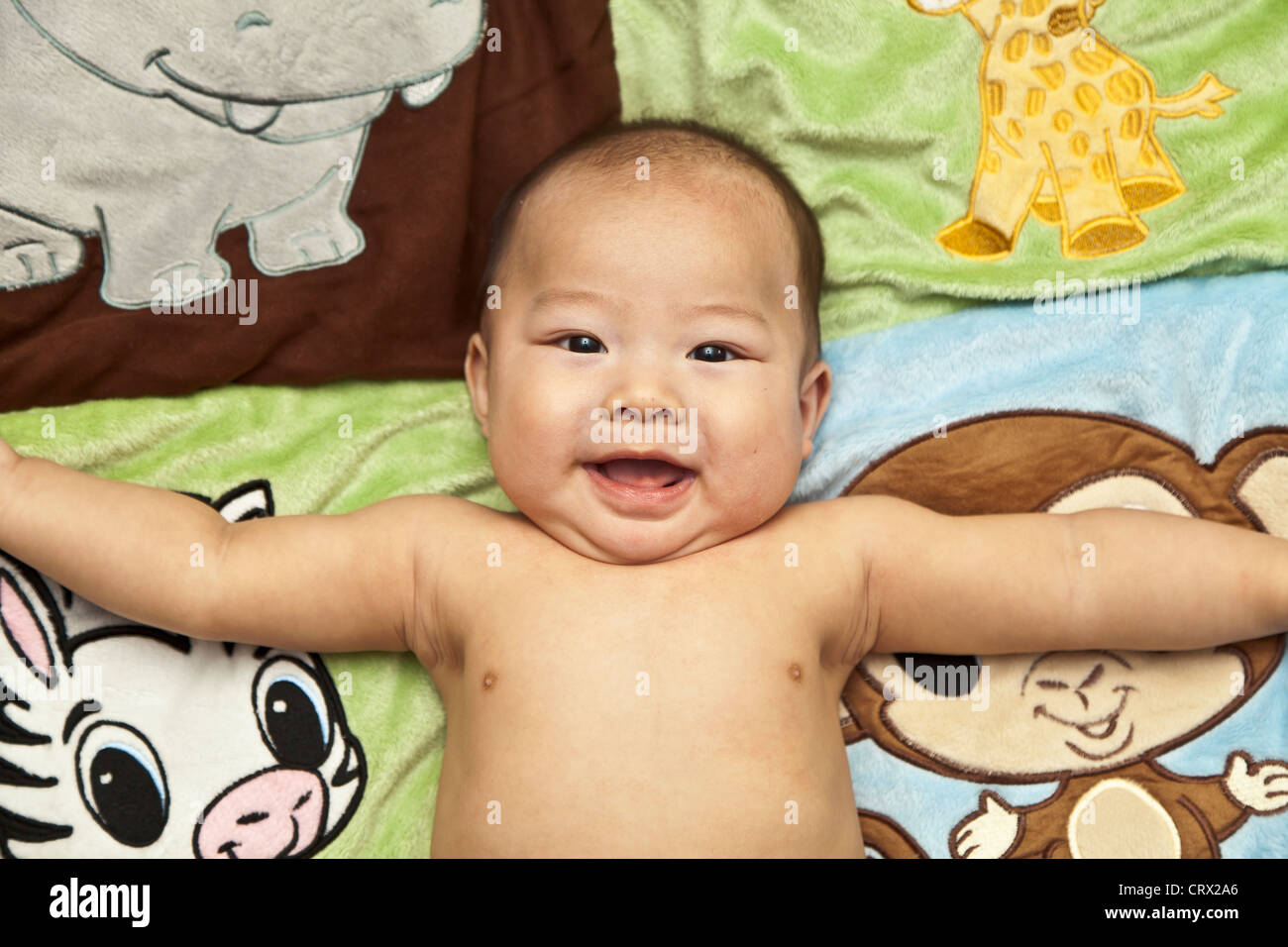baby boy on back Stock Photo Alamy