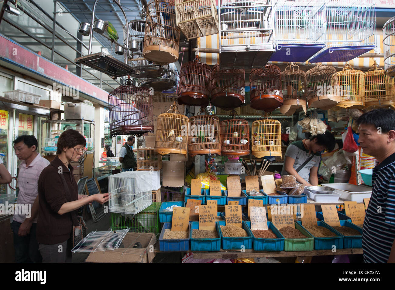 Insect and Bird market, in Shanghai, China Stock Photo Alamy