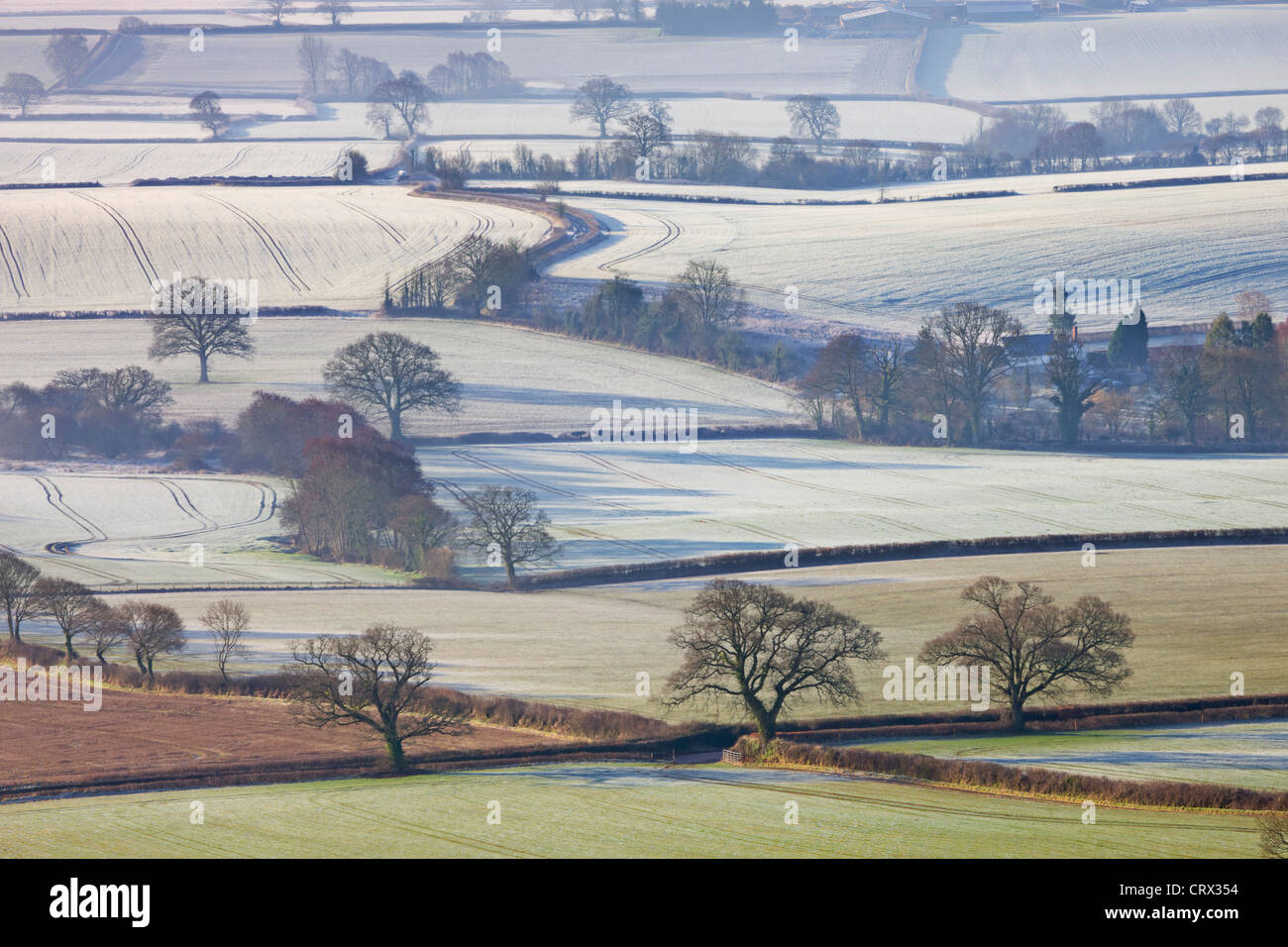 Frosted winter fields near Shobrooke, Devon, England. Winter (March) 2010. Stock Photo