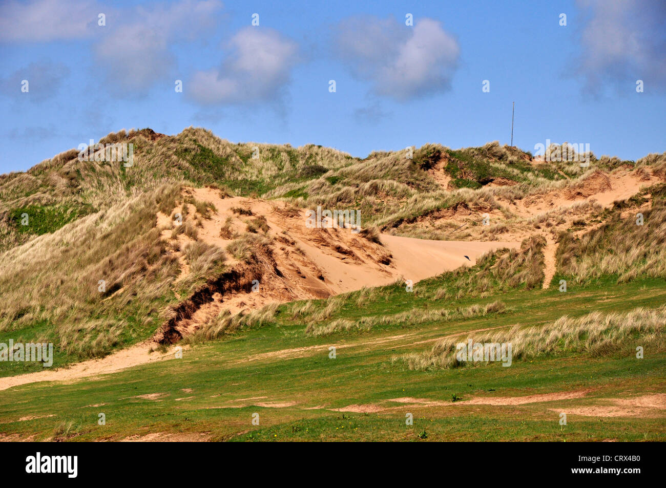 Braunton Burrows nature reserve north Devon sand dunes Stock Photo Alamy