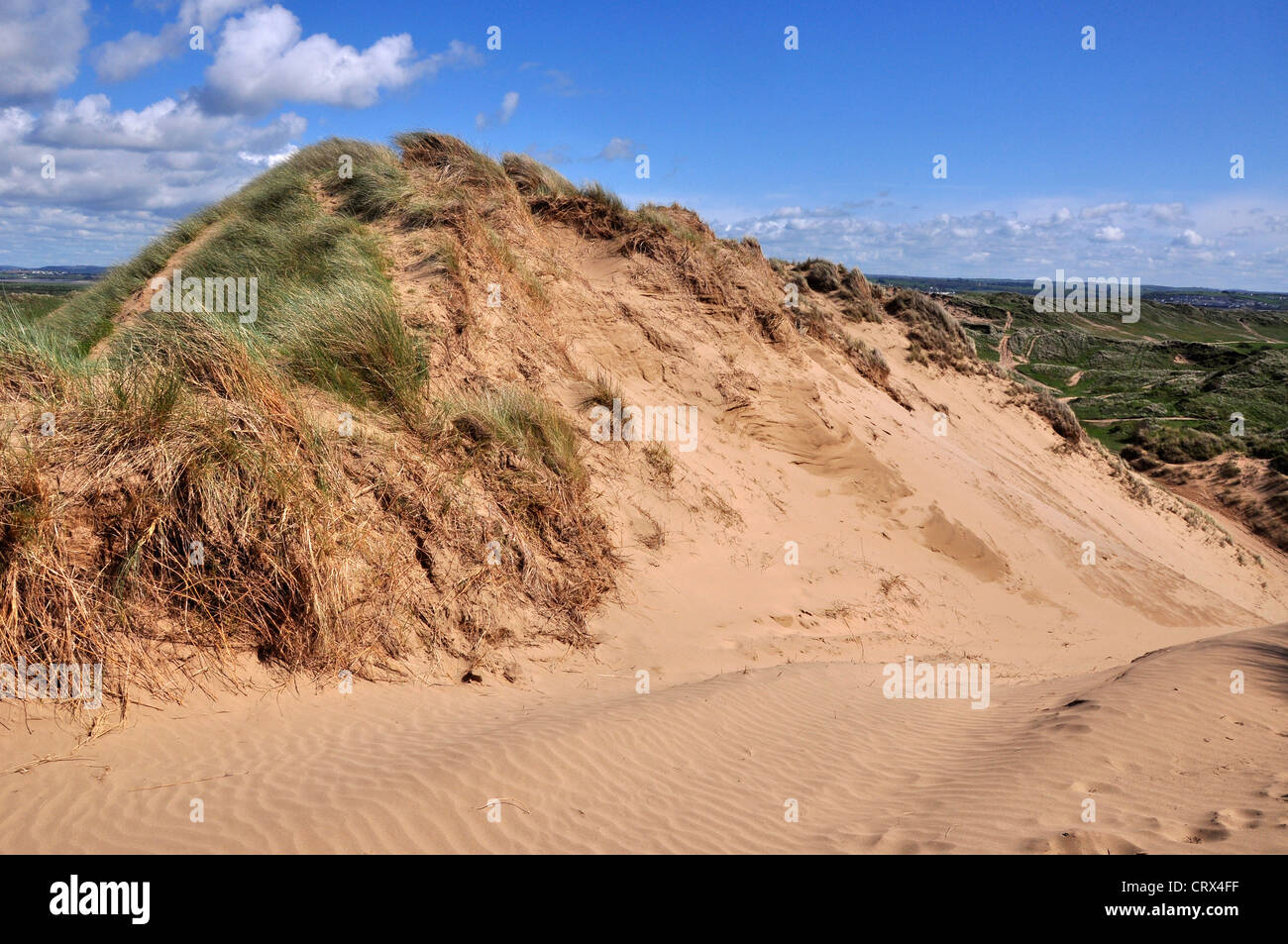 Braunton Burrows Somerset nature reserve landscape sand dune Stock Photo