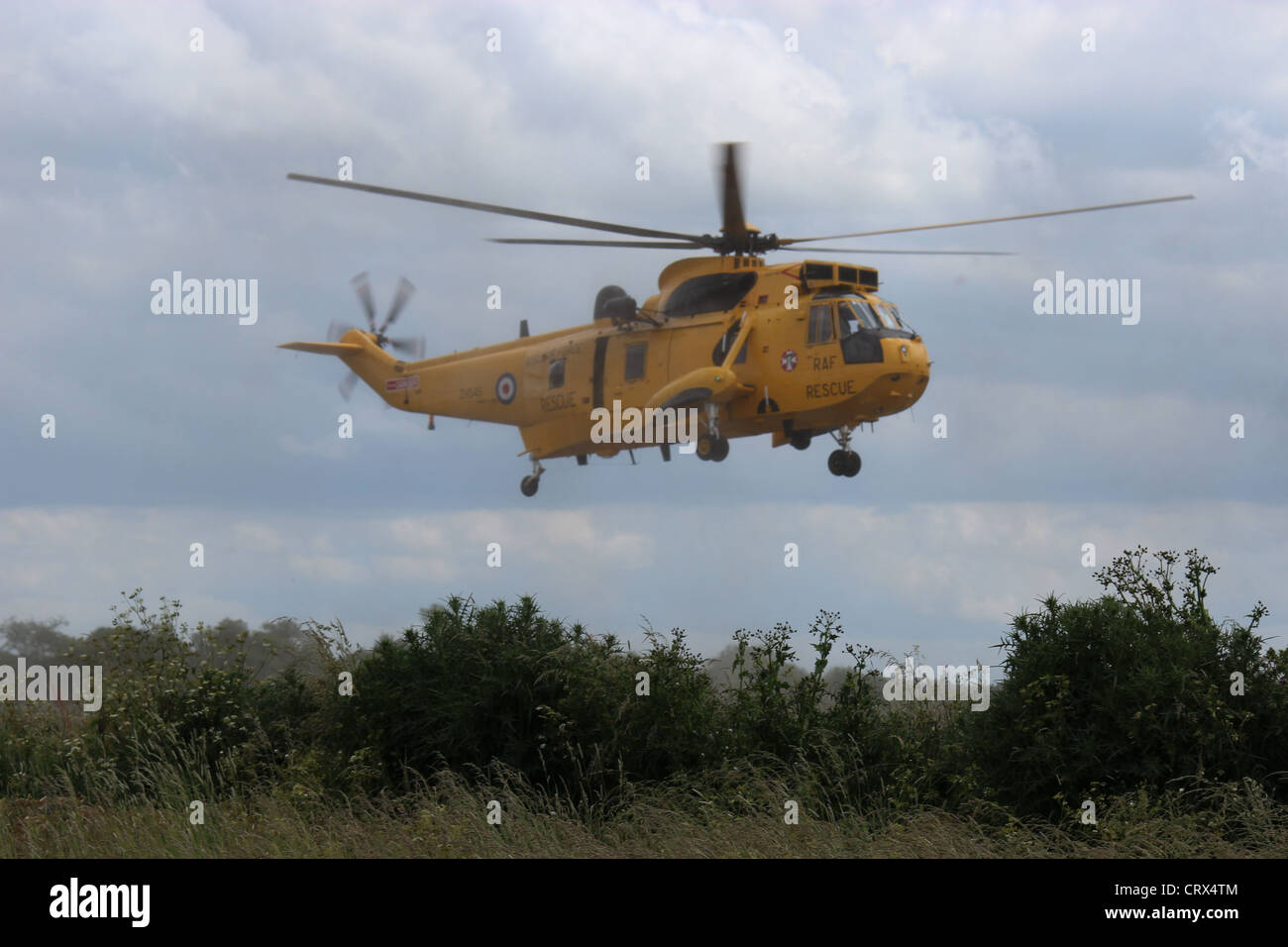 Sea King RAF S & R coming in to land Stock Photo - Alamy