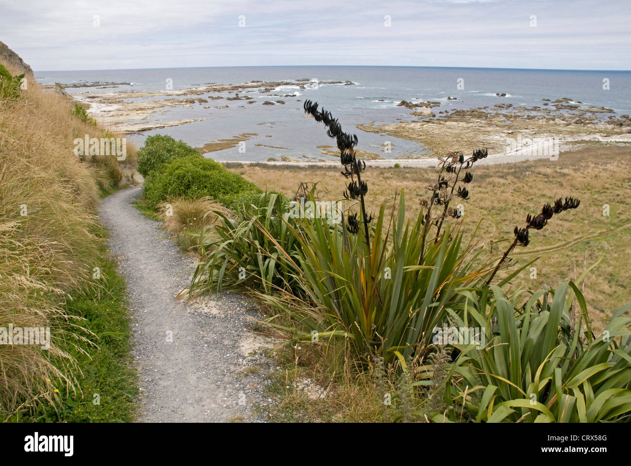 Pacific coastline of the Kaikoura Peninsula in the South Island of New Zealand Stock Photo