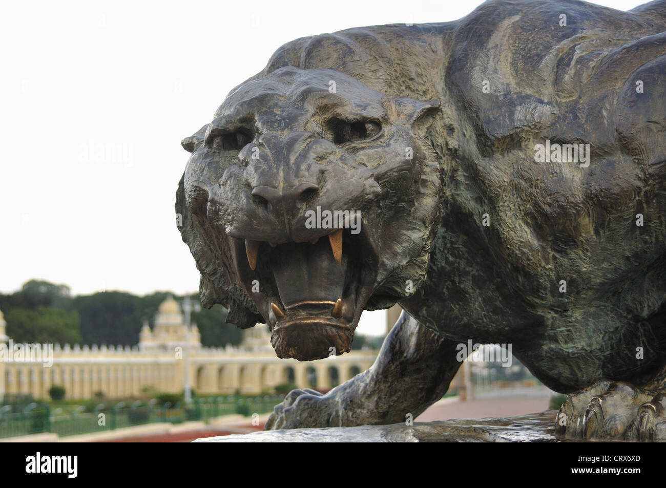 Leopard statue at Mysore Palace Stock Photo Alamy