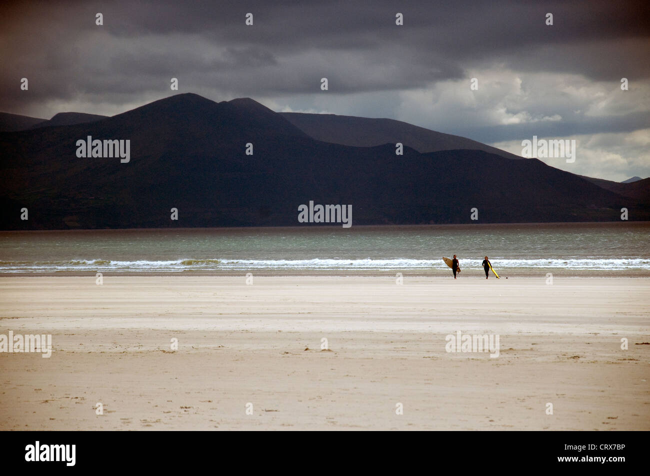 Despite a stormy sky Inch's vast sand beach in Dingle peninsula, Ireland, attracts surfers Stock Photo