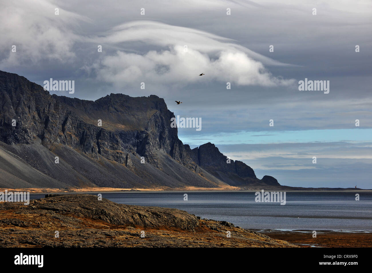 landscape scenery of Alftafjördur first Fjord of East Iceland Stock Photo