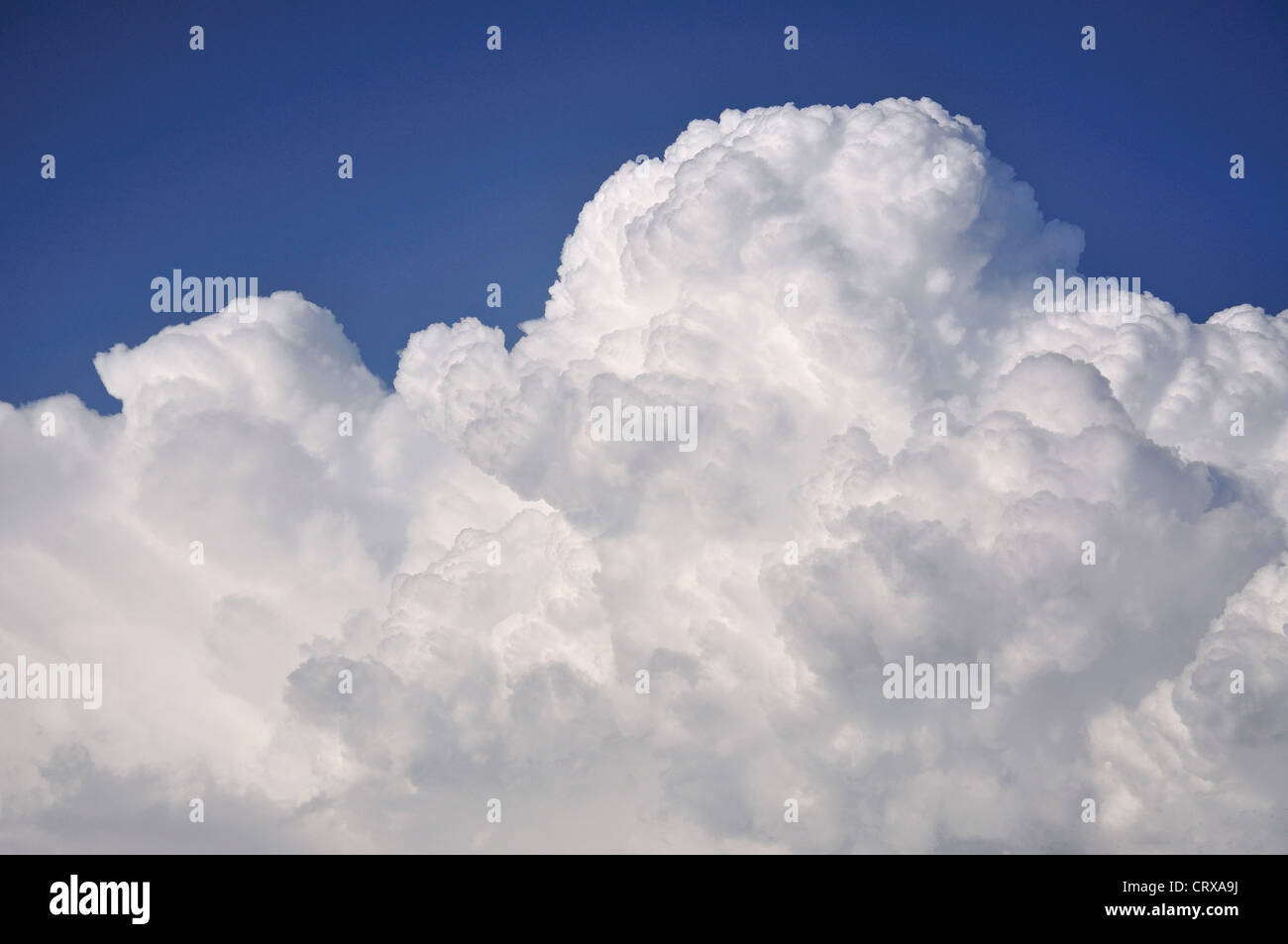 White cumulus clouds and blue sky, Berkshire, England, United Kingdom Stock Photo