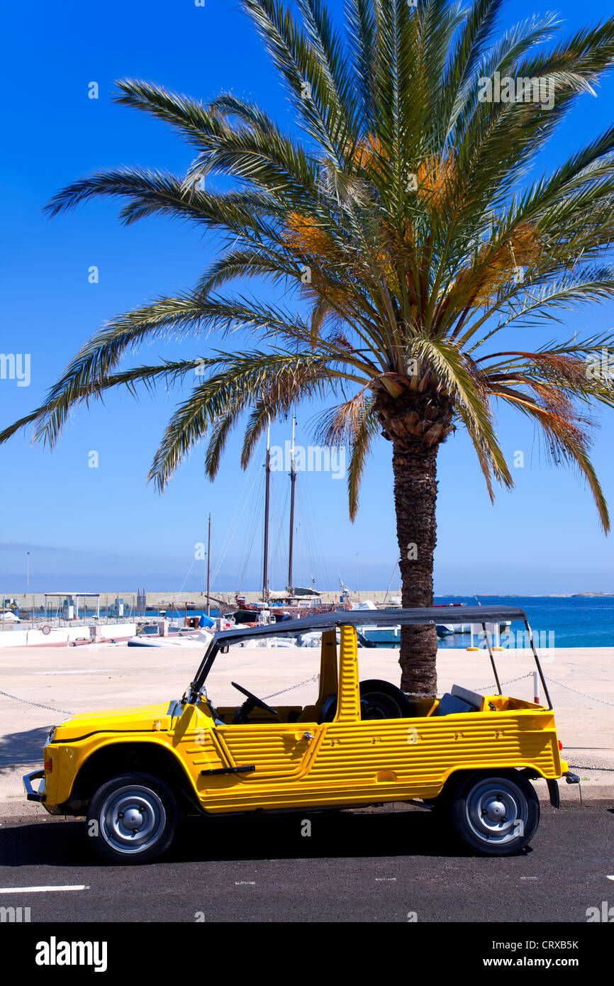 Formentera island with summer retro convertibles and palm tree on marina Stock Photo