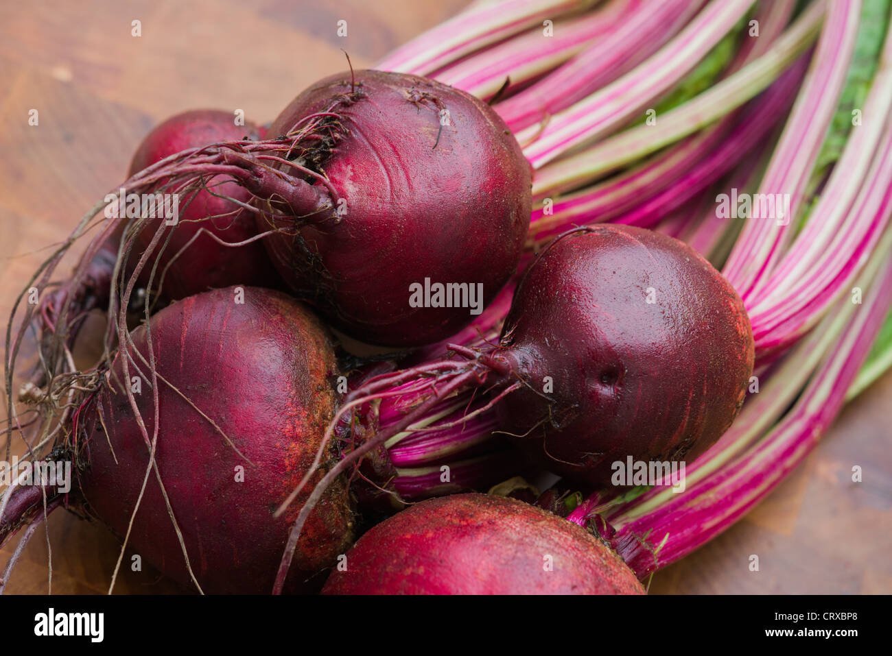 Beetroots hi-res stock photography and images - Alamy