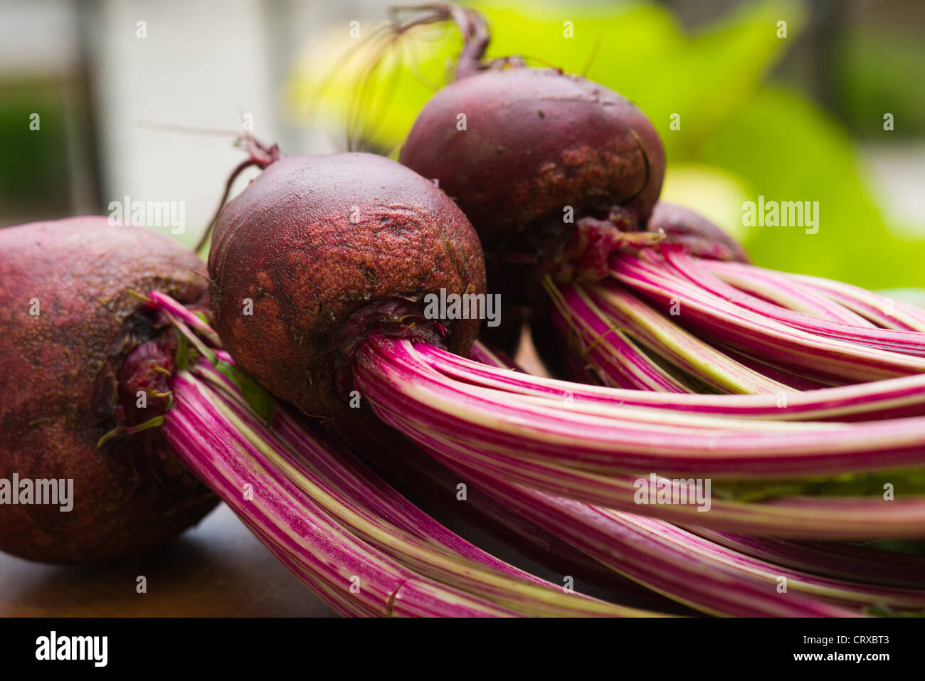 Beetroots hi-res stock photography and images - Alamy