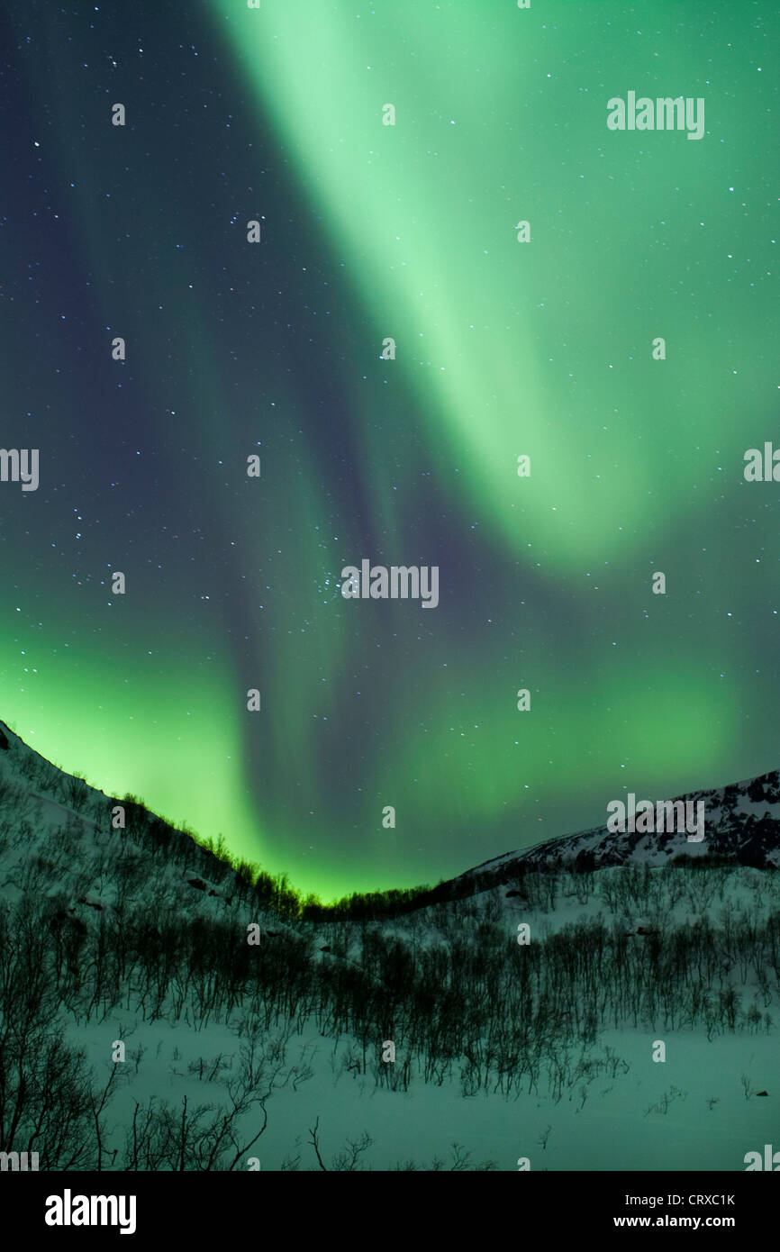 Aurora Borealis The Northern Lights fill the sky at Kvaloya in the Arctic Circle near Tromso, Northern Norway Stock Photo