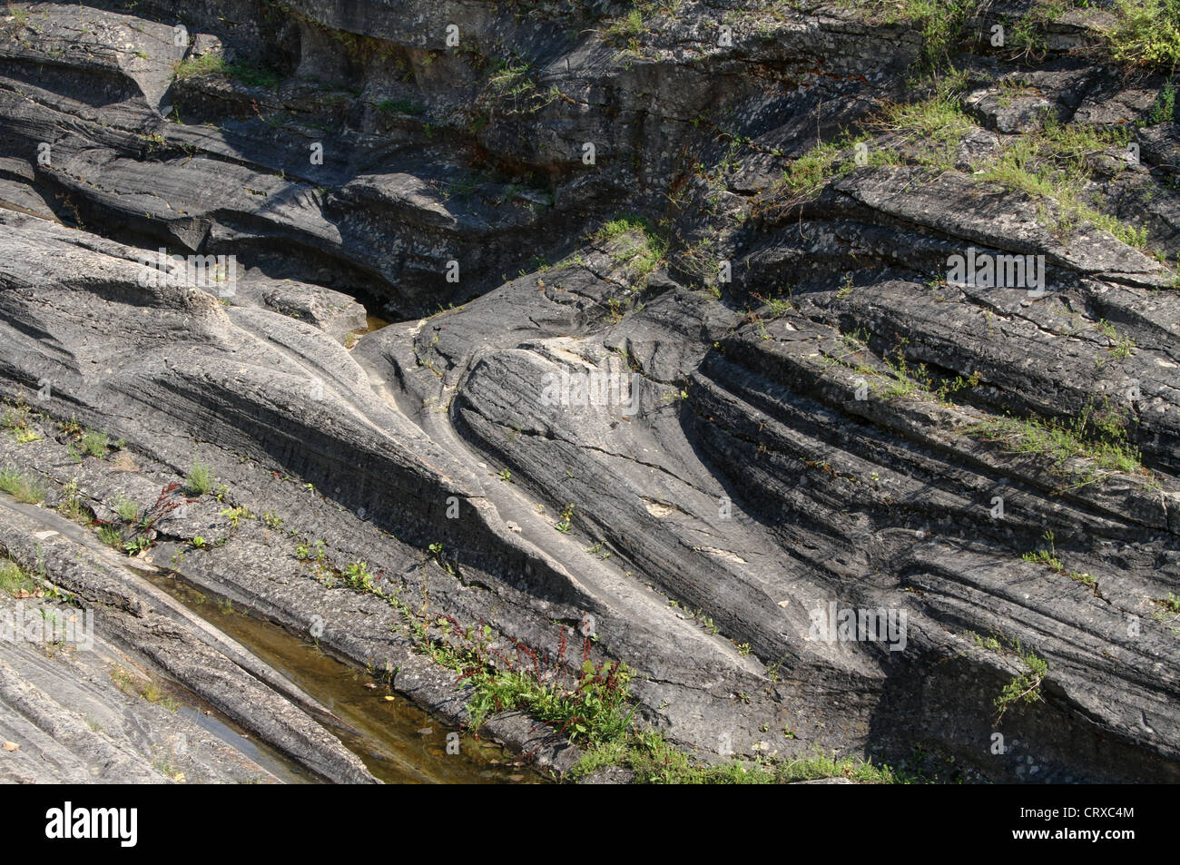 Glacial Grooves carved into Limestone rock. Glacial Grooves State