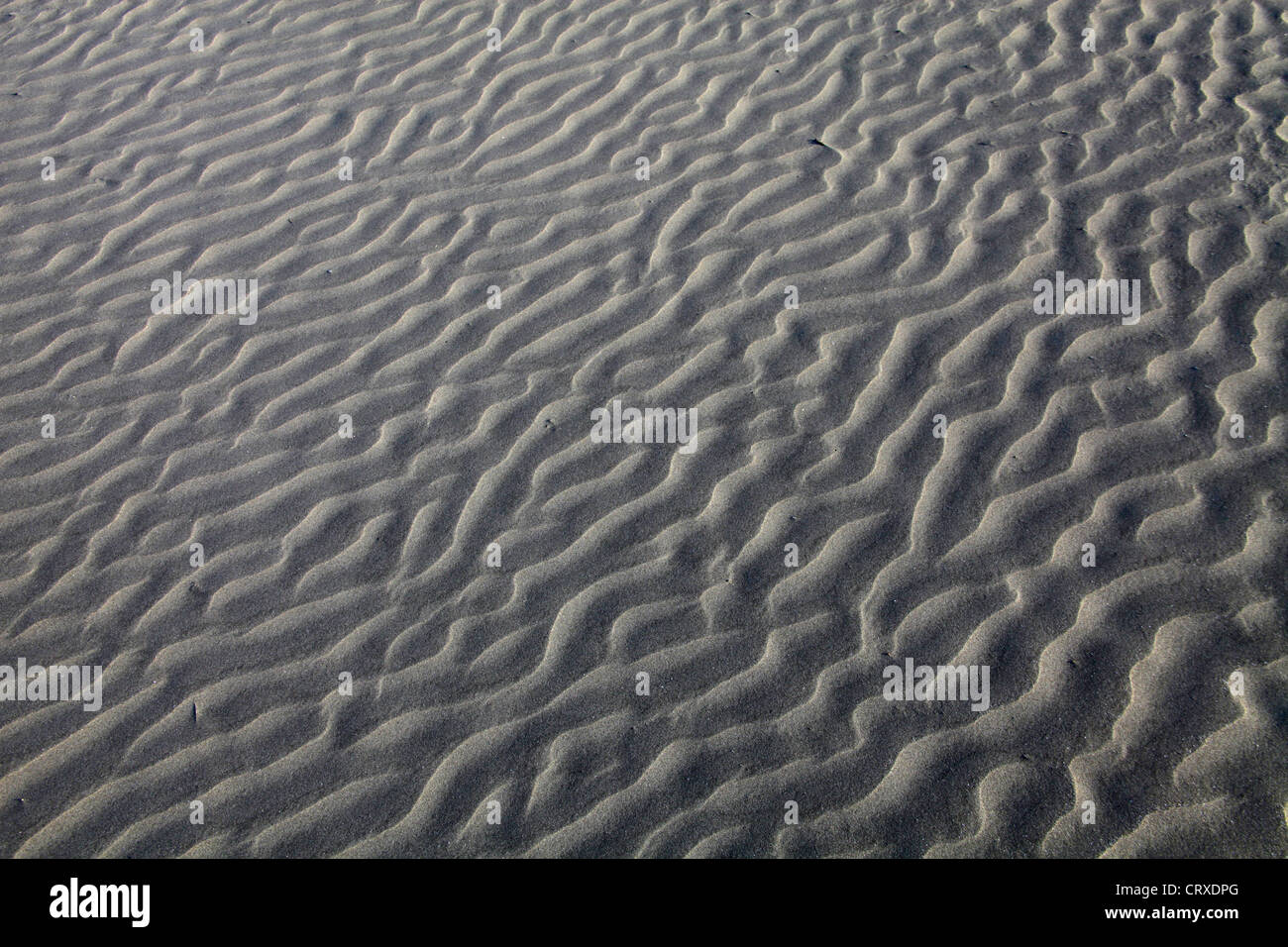 Ripple marks on the sands generate by wind in Kujukuri Beach Chiba Japan Stock Photo
