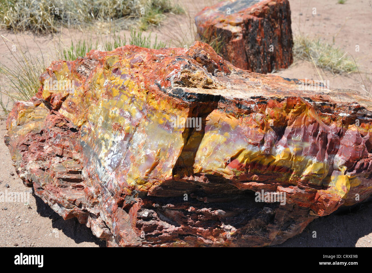 Petrified Forest National Park, Arizona, USA Stock Photo