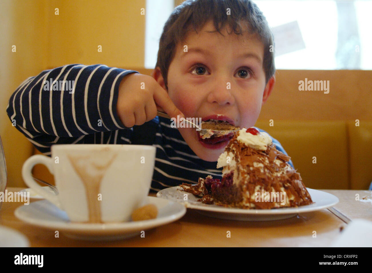 Boy Eating Cake stock image. Image of cute, white, young - 9247289