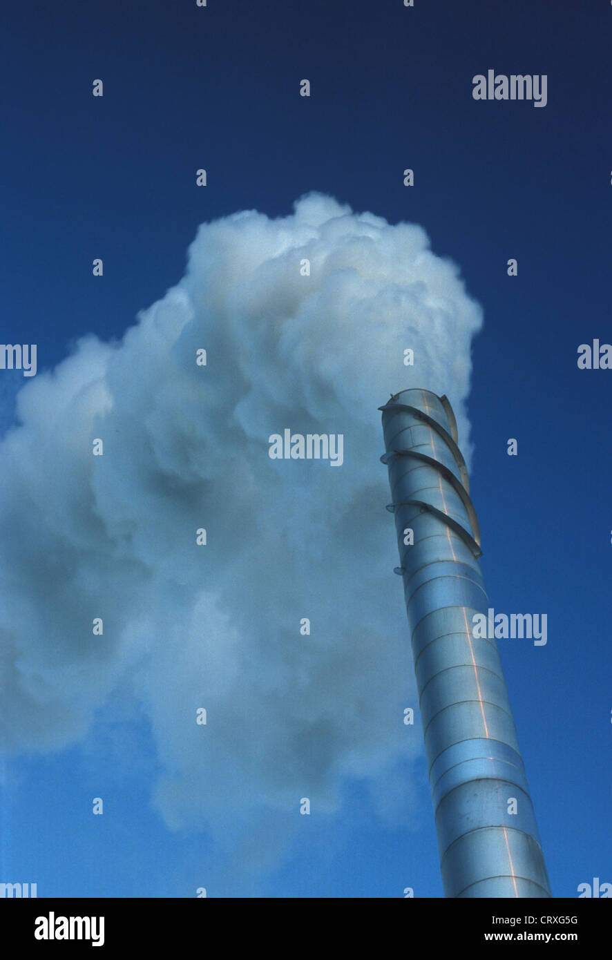 Smoking chimney of a power feed factory Stock Photo