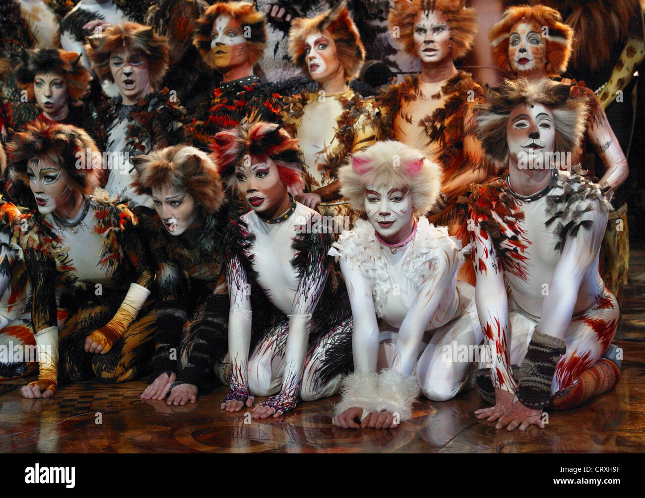 Musical CATS at the CAPITOL theater in Duesseldorf Stock Photo