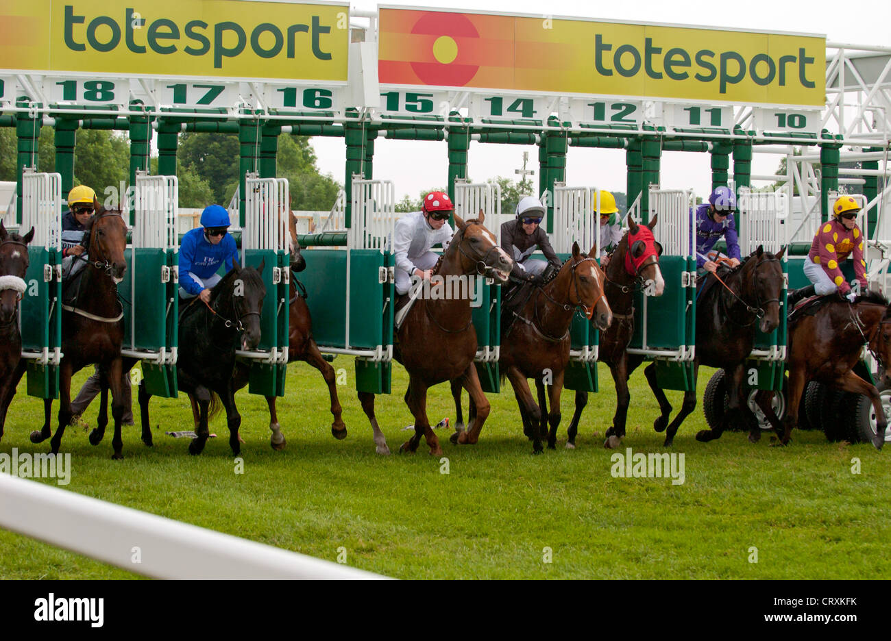 Horses and their jockeys leaving the starting gate stalls at the start of a race. Stock Photo