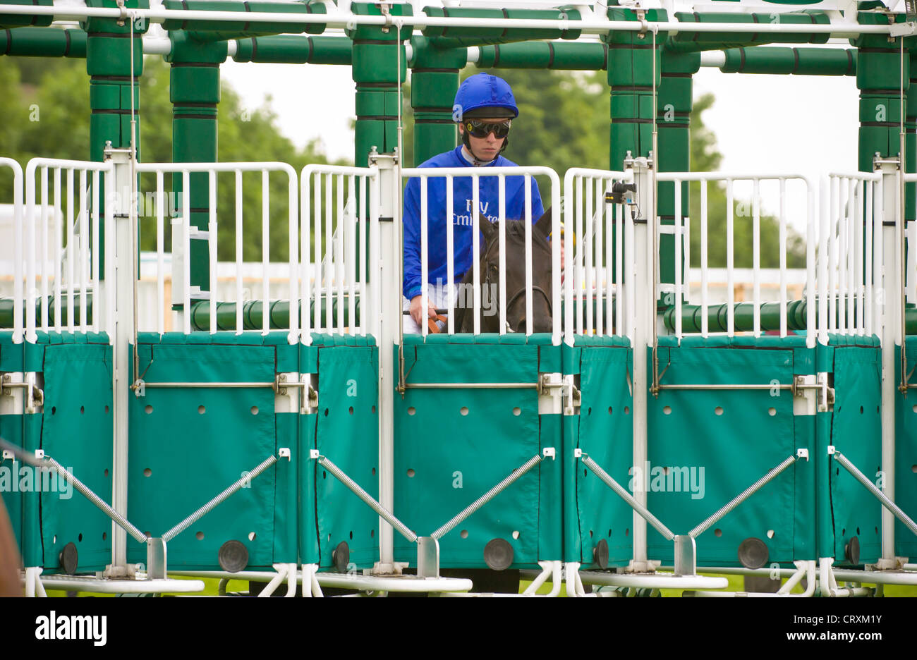 Starting gates for horse racing with one horse and rider ready Stock Photo