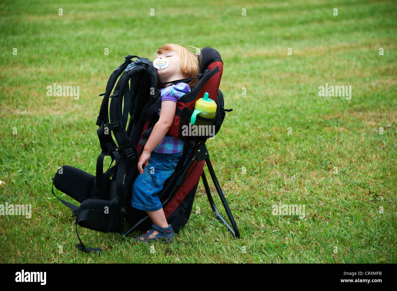 1 year old in baby carrier