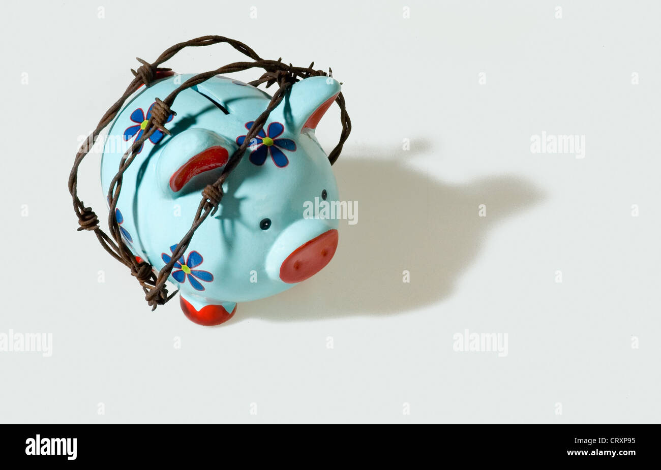 blue flowery piggy bank wrapped in barbed wire on white background