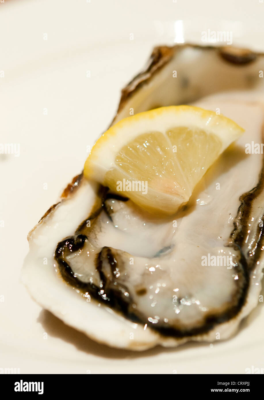 close up zoom of edible live oysters Stock Photo