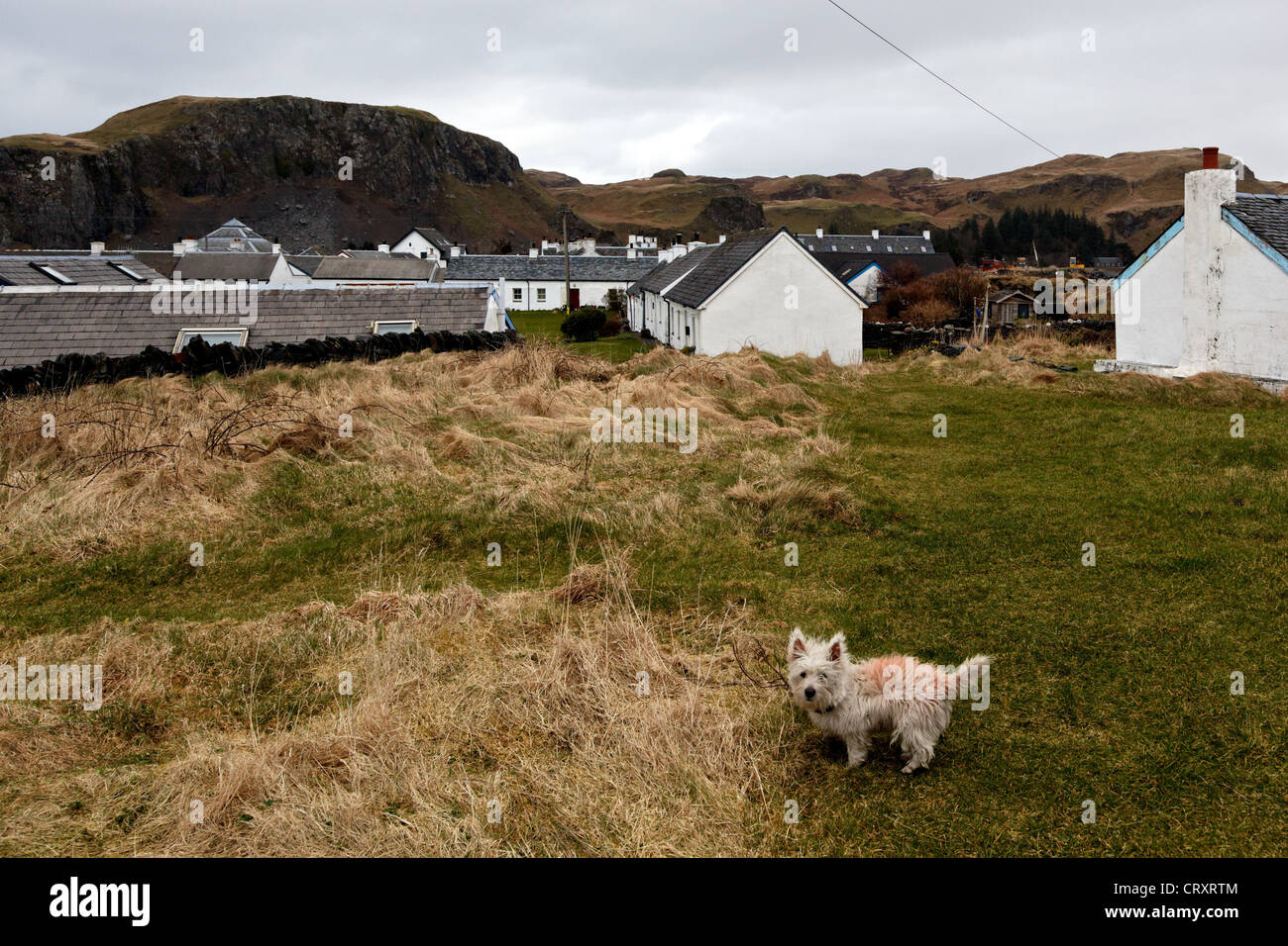 Easdale Island with traditional quarryman's cottages in the background