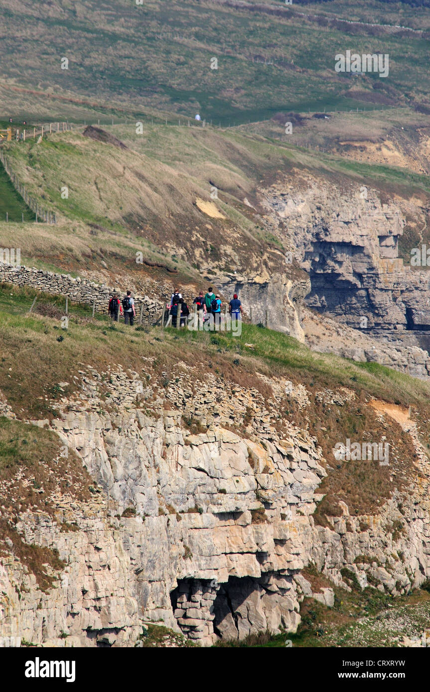 A view of Seacombe Cliff, part of the coast in East Dorset UK Stock Photo