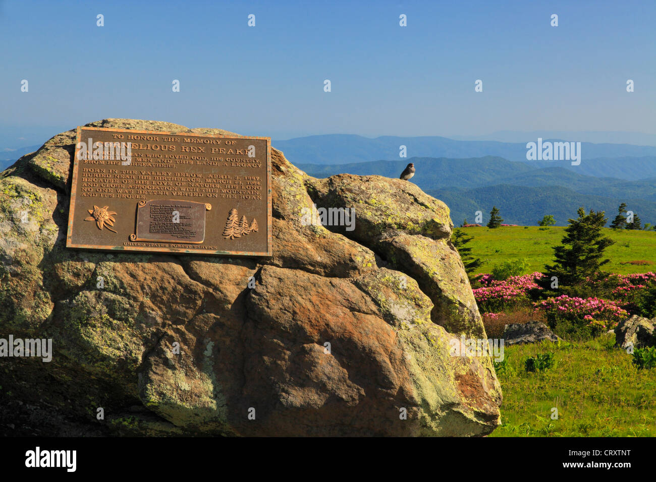 Cornelious Rex Peake Monument, Grassy Ridge, Roan Mountain, Tennessee / North Carolina, USA Stock Photo