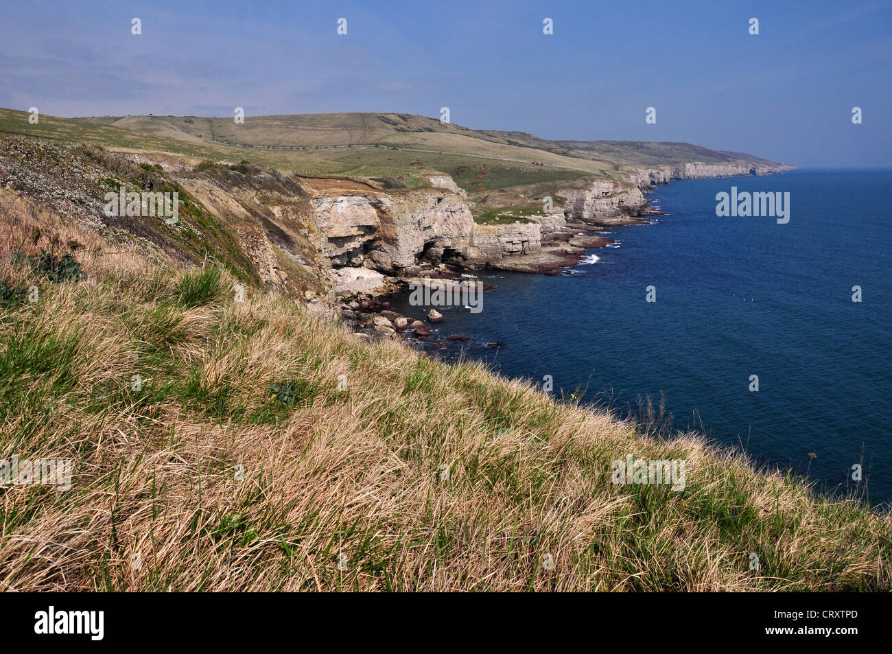 Part of the east Dorset coast at Seacombe UK Stock Photo