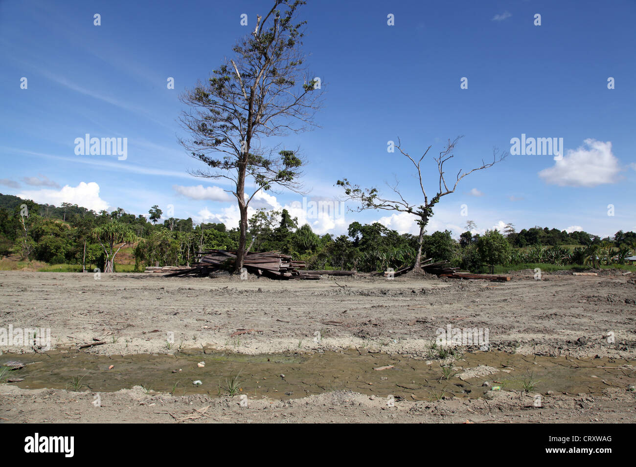 Logging In Png Illegal logging papua new guinea hi-res stock photography and images ...