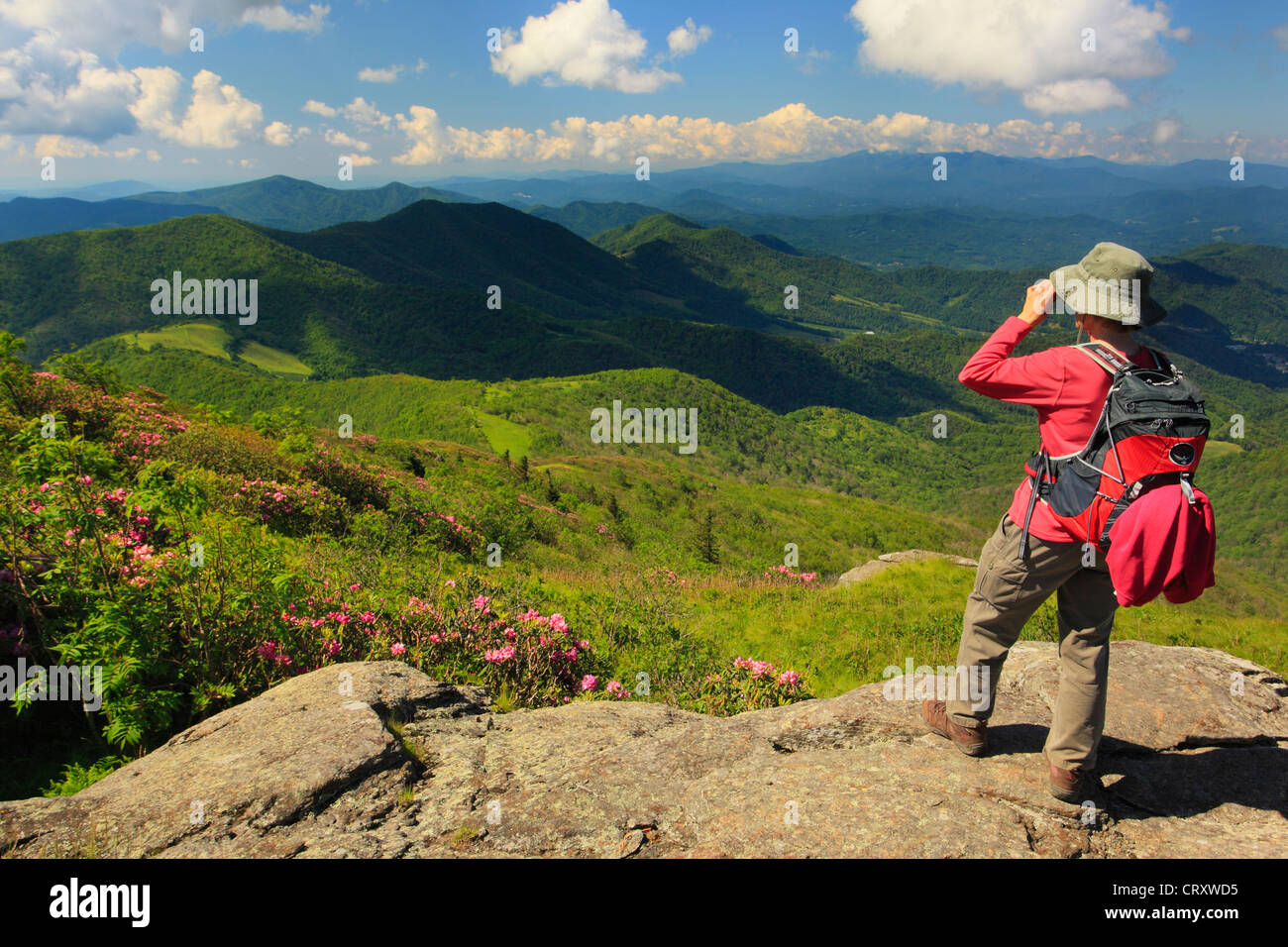 View From Grassy Ridge, Roan Mountain, Tennessee / North Carolina, USA ...