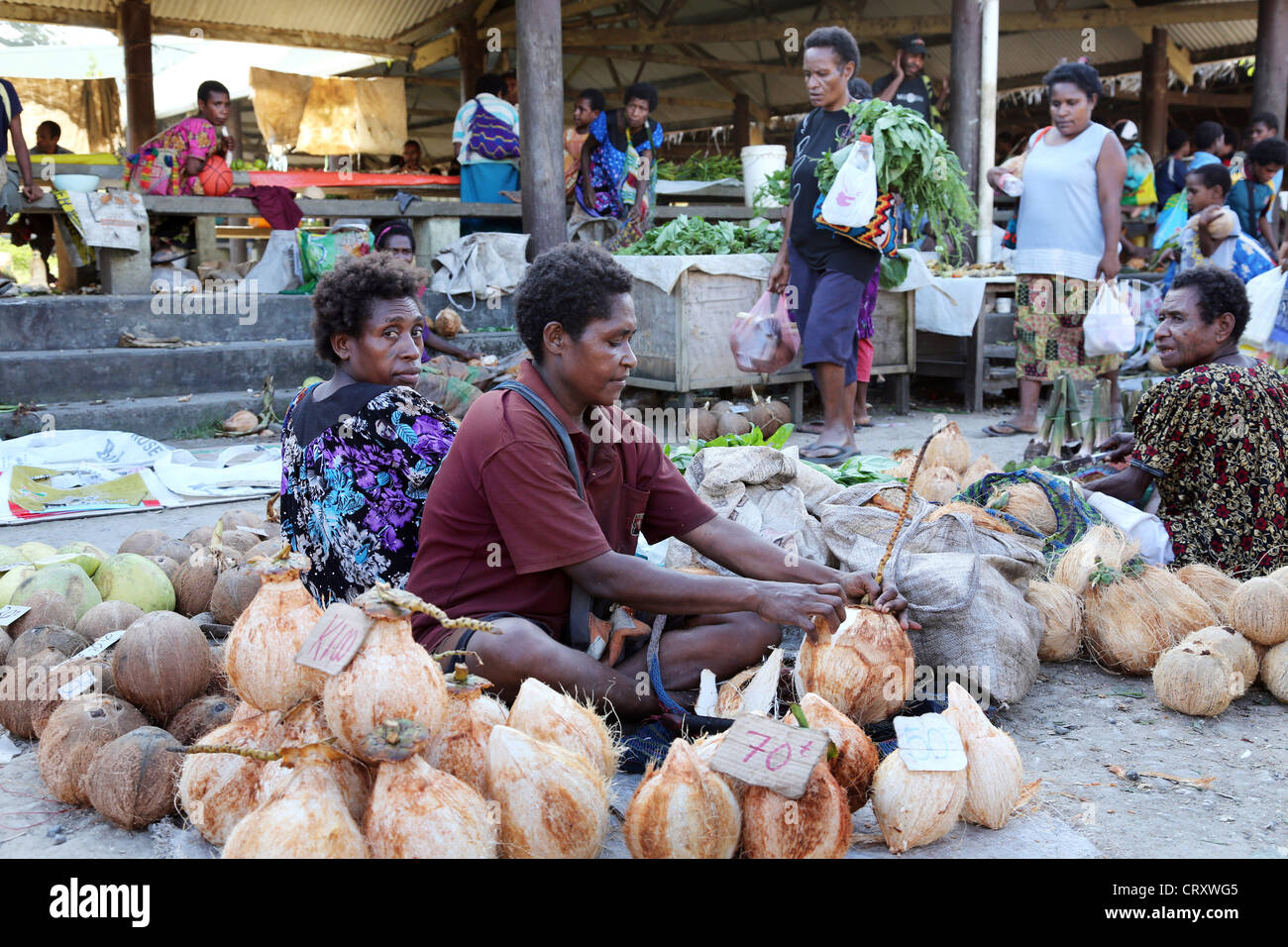 Coconuts at a market in Madang, Papua New Guinea Stock Photo