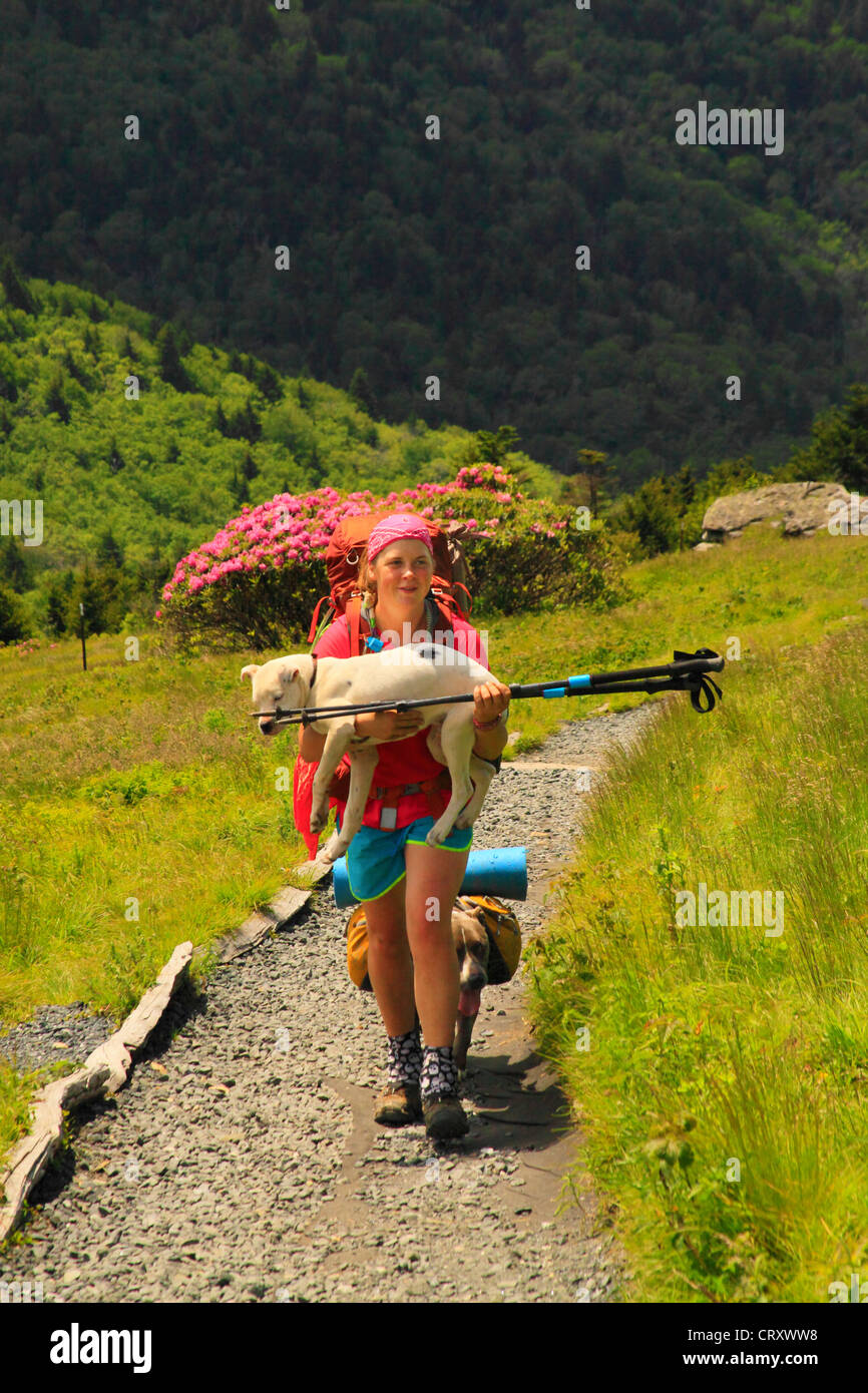 Hiker on Appalachian Trail in Carvers Gap, Roan Mountain, Carver's Gap
