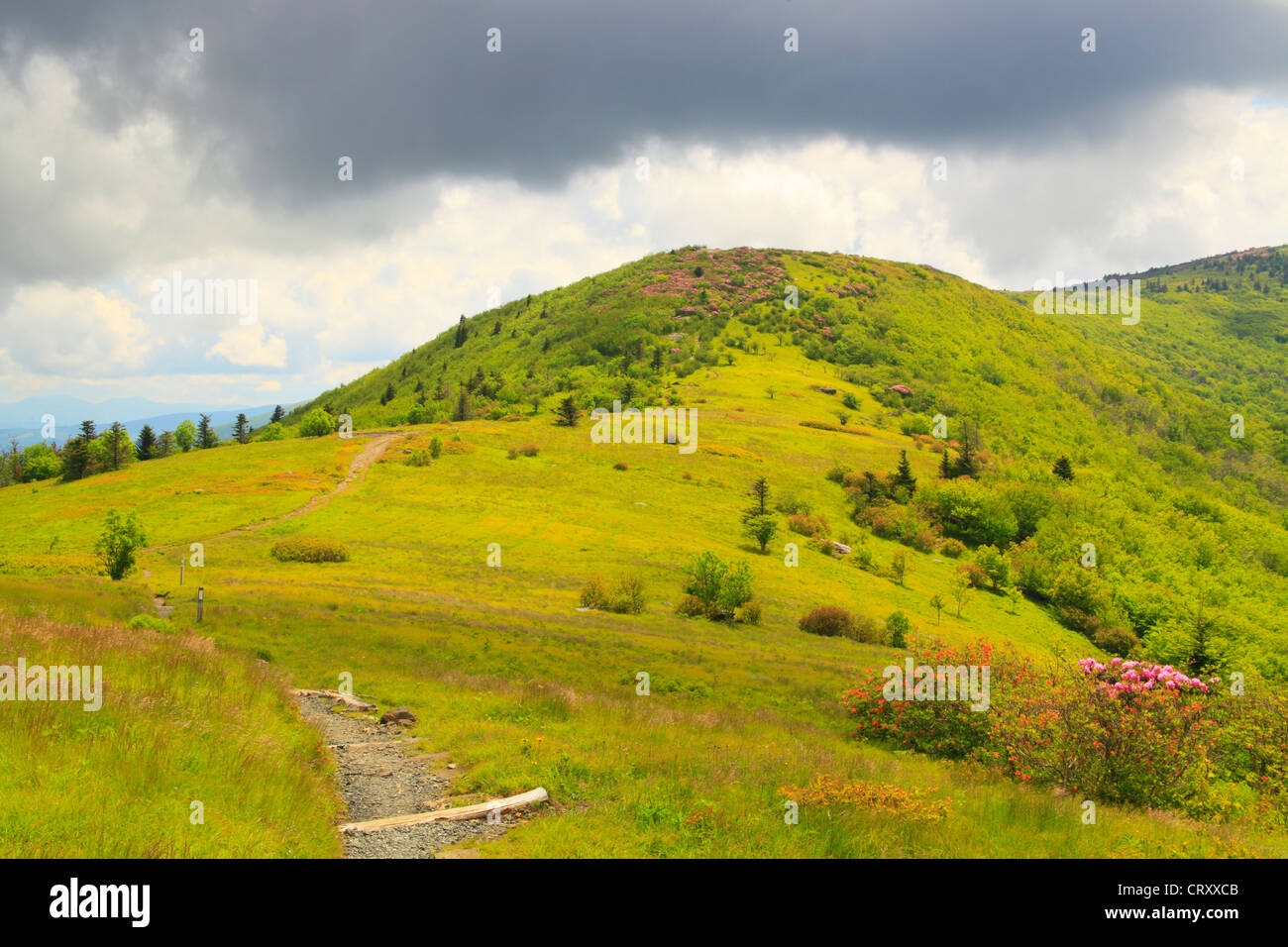 Along Appalachian Trail in Engine Gap, Look at Jane Bald, Roan Mountain