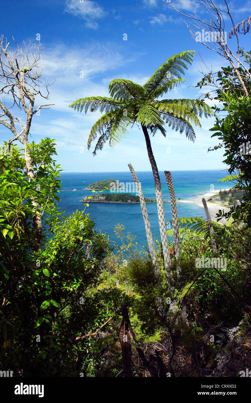 New Zealand, North Island, Near Tauranga, the beach at Bay of Plenty ...