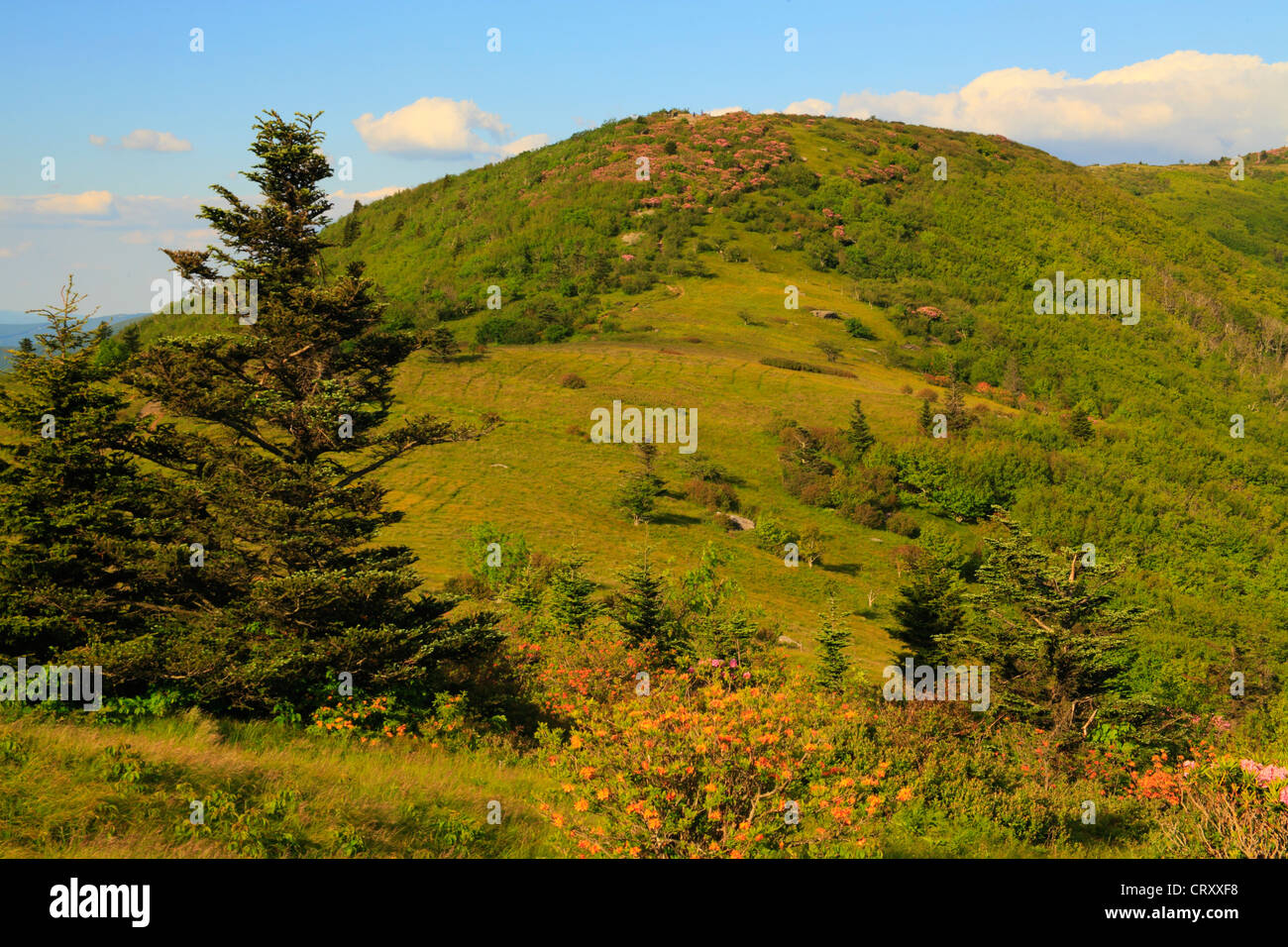 Along Appalachian Trail in Engine Gap, Look at Jane Bald, Roan Mountain