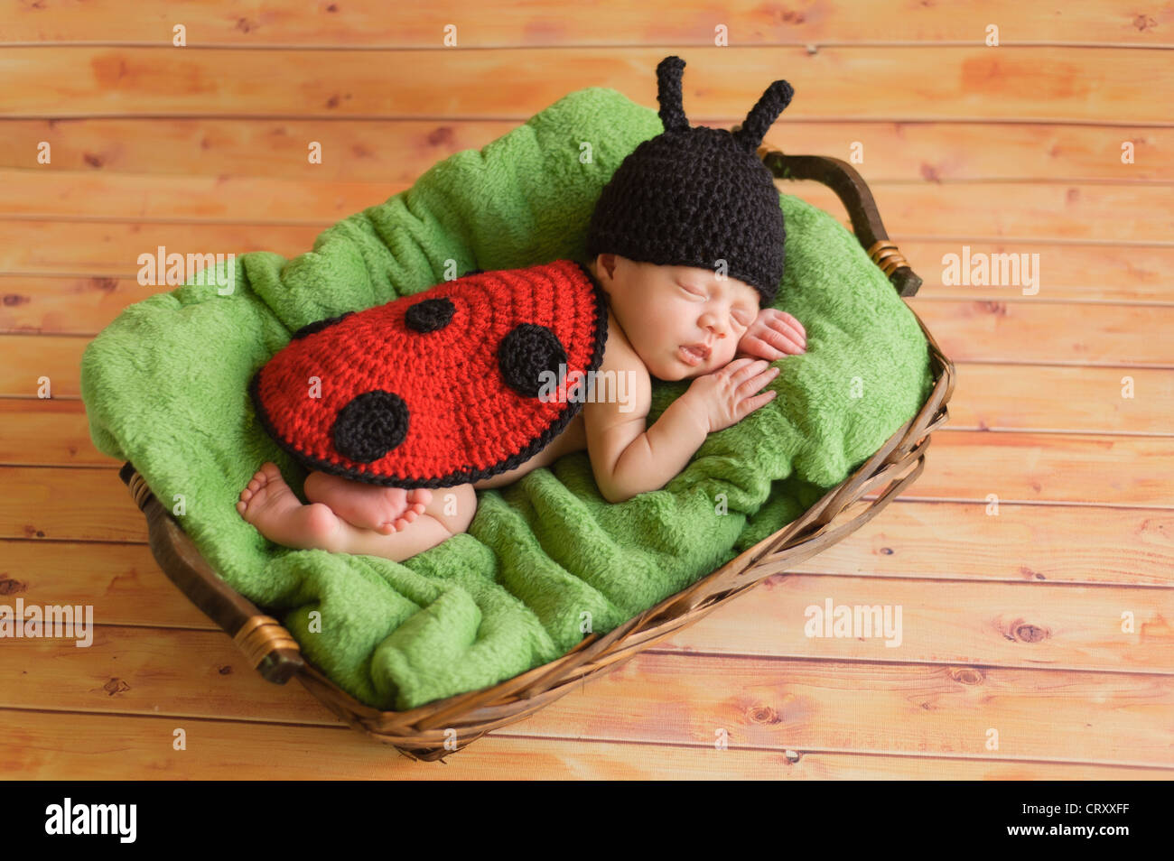 Three week old newborn baby girl wearing a ladybug costume Stock Photo