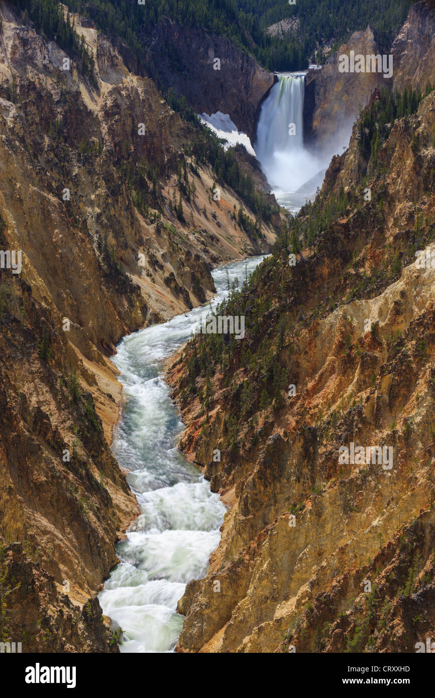 Lower Falls at the Yellowstone river in Yellowstone National Park, Wyoming, USA Stock Photo