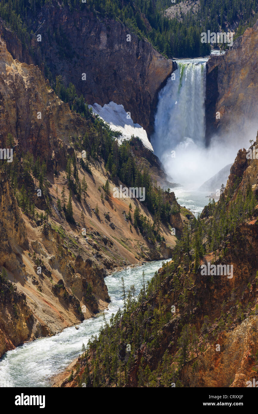 Lower Falls at the Yellowstone river in Yellowstone National Park, Wyoming, USA Stock Photo