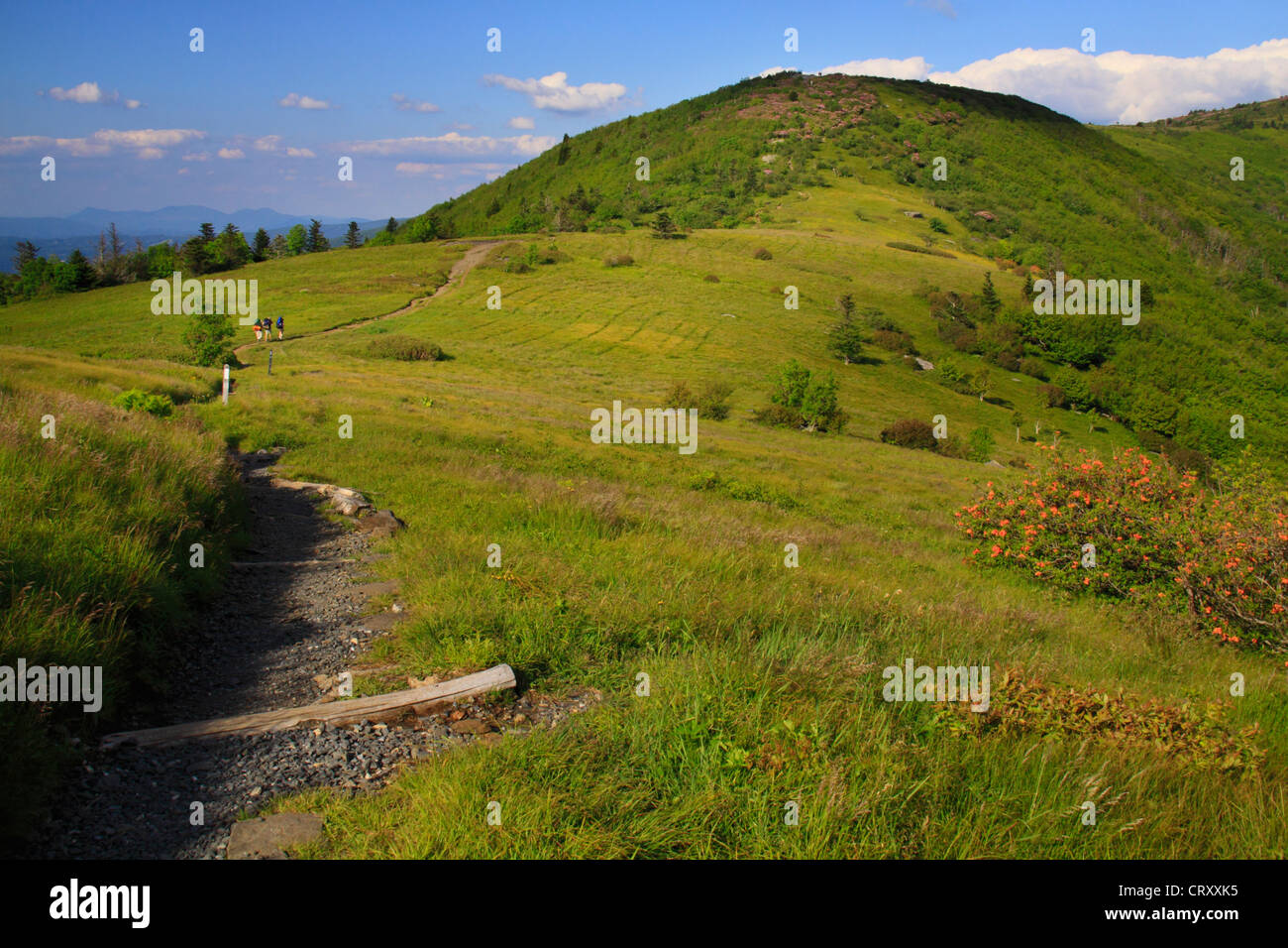 Along Appalachian Trail in Engine Gap, Look at Jane Bald, Roan Mountain