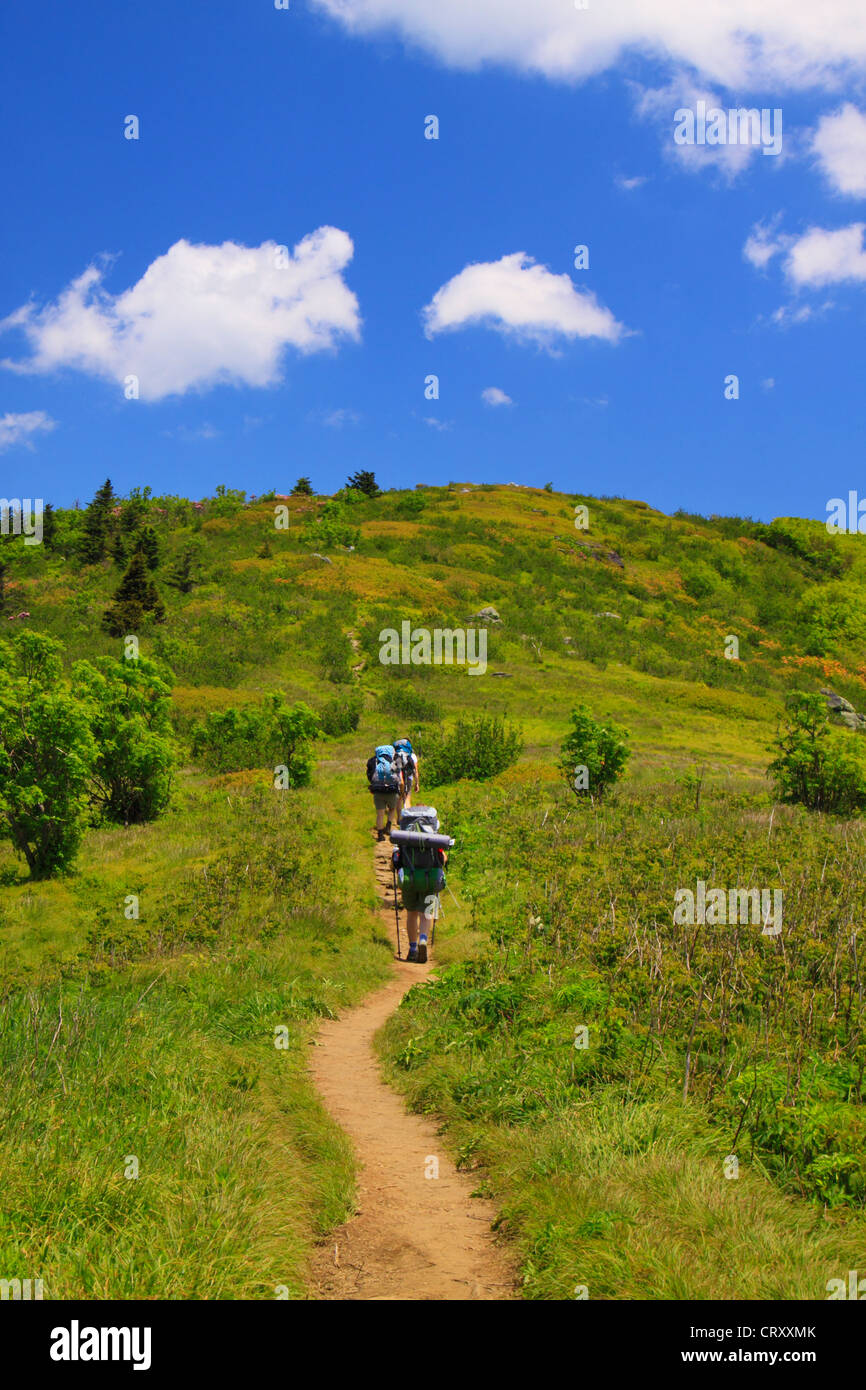 Appalachian Trail, Look at Grassy Ridge, Roan Mountain, Carver's Gap