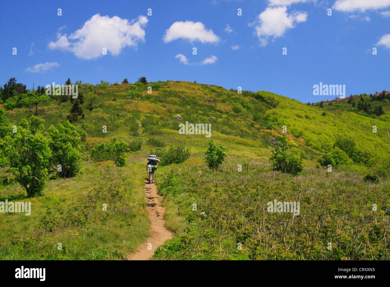 Appalachian Trail, Look at Grassy Ridge, Roan Mountain, Carver's Gap