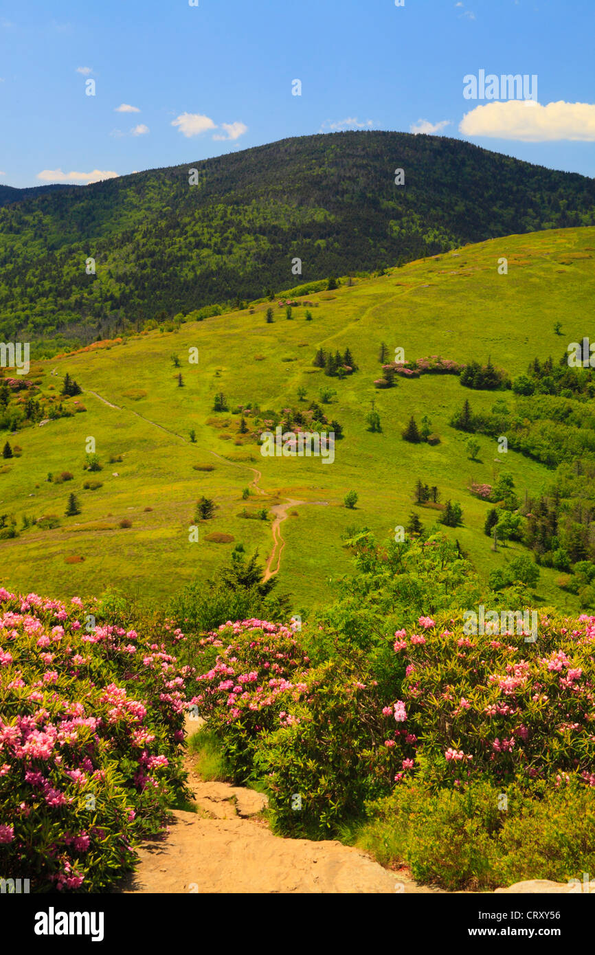 Along Appalachian Trail on Jane Bald, Look at Round Bald, Roan Mountain