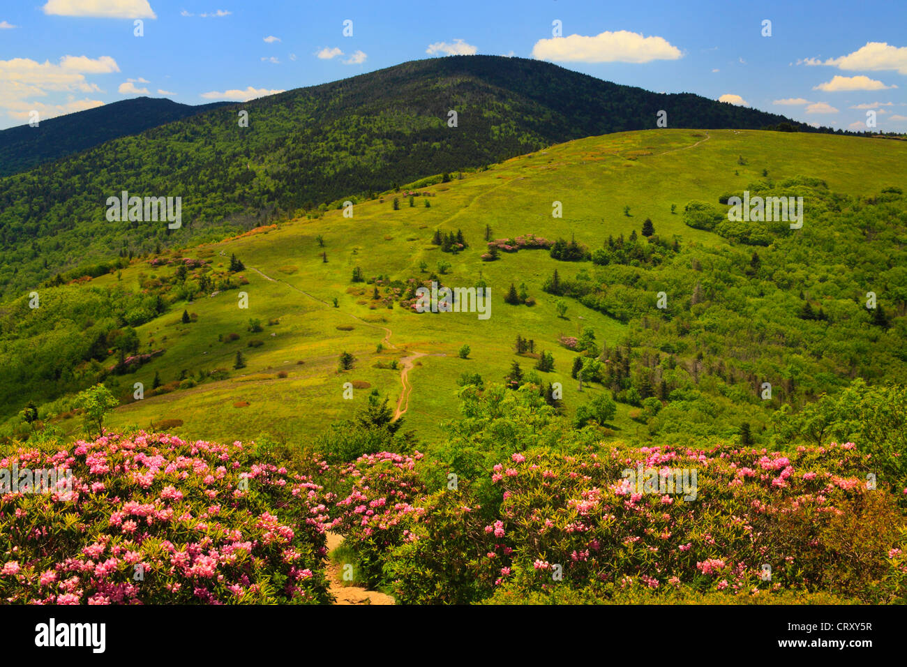 Along Appalachian Trail on Jane Bald, Look at Round Bald, Roan Mountain