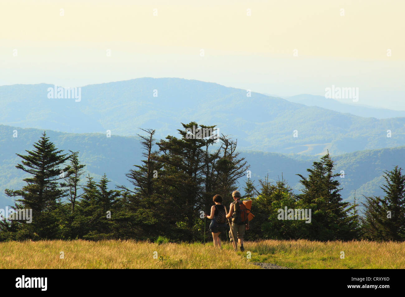 Hikers Along Appalachian Trail on Round Bald, Roan Mountain, Carver's