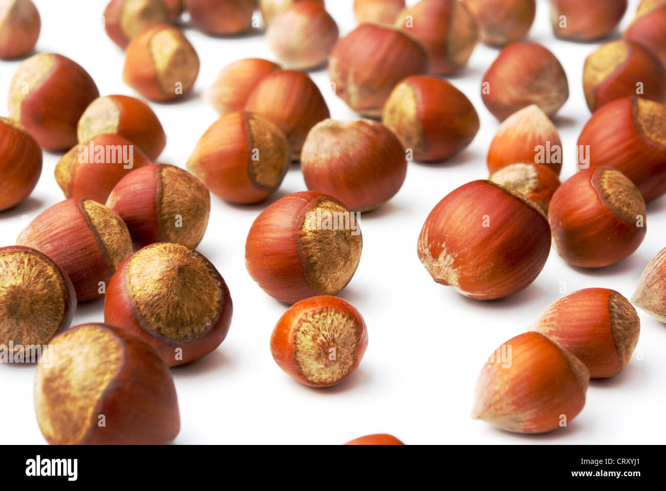 A lot of hazelnuts on a white background Stock Photo